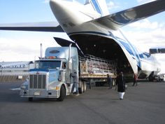 What are the benefits of using Air Freight?