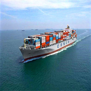 Ocean freight eliminates the dependency on warehousing