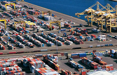 The international logistics company is mainly engaged in shipping services