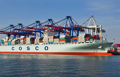 Let me introduce you about sea shipping