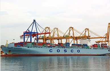 Matic Express offer you international freight service by 15 years