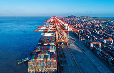 We are an international shipping  forwarder in Shenzhen China