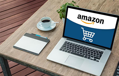 It is about FAQ of Amazon Seller