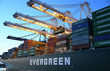 Matic Express has been engaged in international transportation for 15 year