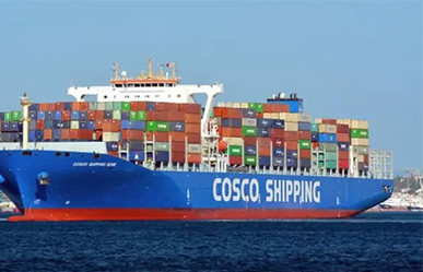 sea shipping - Matic Express Company in China