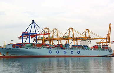 provide service about sea shipping,air freight and express in China